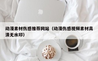天门动漫素材伤感推荐网站（动漫伤感视频素材高清无水印）